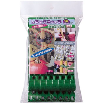 しちゅうキャッチ シーム