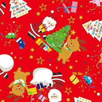 49-3051 �N���X�}�X��� ���� �T�T�K�� 32000387