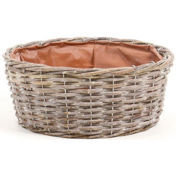 625-206 �E�C���[�E�I�b�V���薳�A�����W SG Wonder zone 32476378