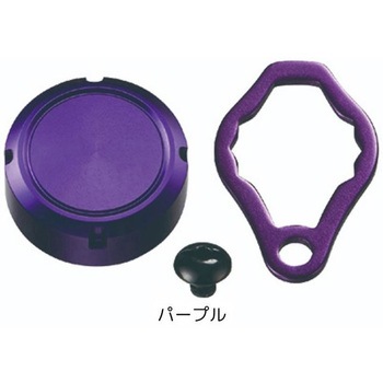 STEEZ オイルインジェクションキャップ SLP WORKS(エスエルピーワークス)