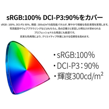 ゲーミング液晶ディスプレイ 28型/3840×2160/HDMI×1、DP×1/ブラック/スピーカー有/2年保証 JAPANNEXT