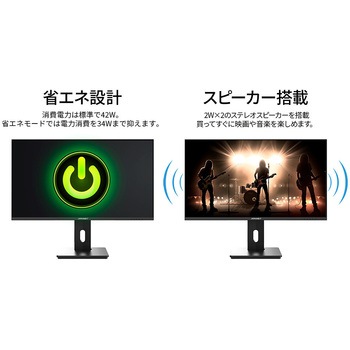 ゲーミング液晶ディスプレイ 28型/3840×2160/HDMI×1、DP×1/ブラック/スピーカー有/2年保証 JAPANNEXT