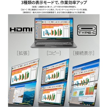 23.8型/1920×1080/HDMI×1、USB-C×2/ブラック/スピーカー有/2年保証/デュアル JAPANNEXT
