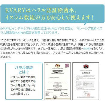 EVARY除菌水 詰め替え用 EVARY