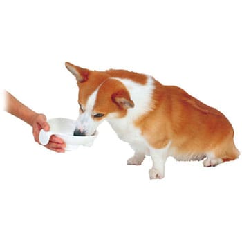 犬 介護 販売済み 食器