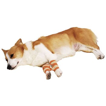 老犬介護用 床ずれ予防サポーター zuttone