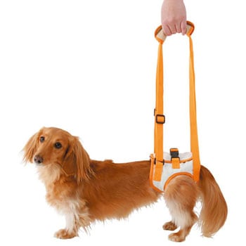 老犬介護用 歩行補助ハーネス 後足用K zuttone