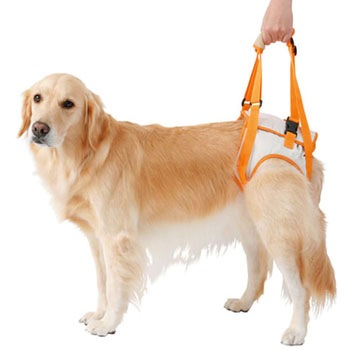 老犬介護用 歩行補助ハーネス 後足用K zuttone