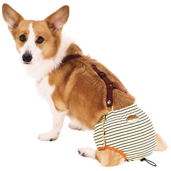 老犬介護用 おむつパンツK zuttone