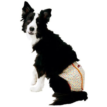 老犬介護用 紙おむつカバー zuttone