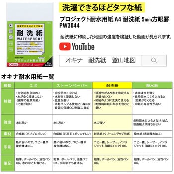 PW3044 プロジェクト耐水用紙 耐洗紙 1セット(30枚) オキナ 【通販