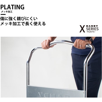ダンデイ Xシリーズ タイプXL (2段式) 花岡車輌