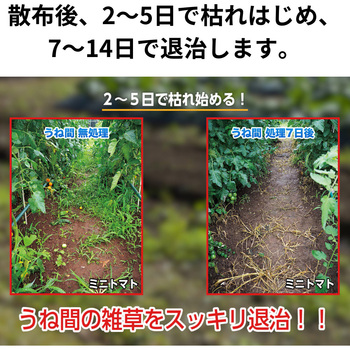 グリーンスキットシャワー 住友化学園芸