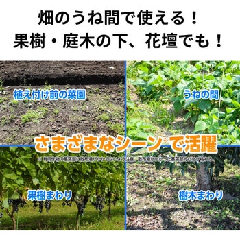 グリーンスキットシャワー 住友化学園芸