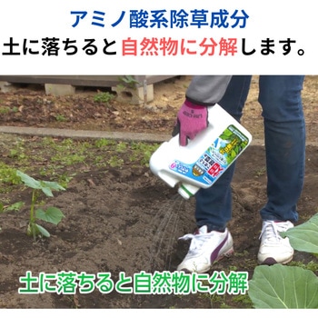 グリーンスキットシャワー 住友化学園芸