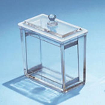 100-7d wN}gOtB[u Ȋw 33131244