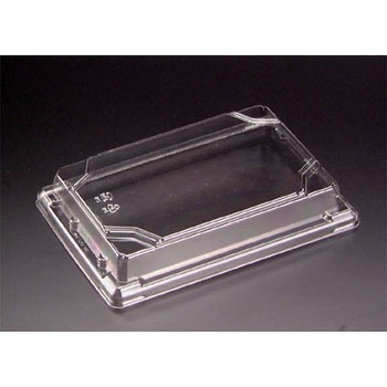 510OC e I W XpbN J`bƂ͂܂^Cv 33139759