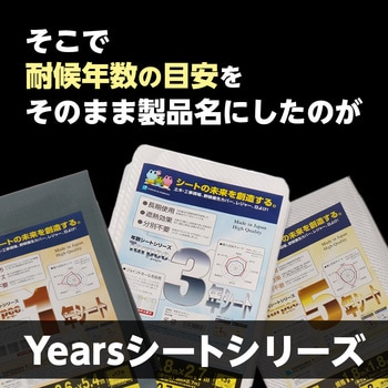 ターピー CSR2年シート 萩原工業