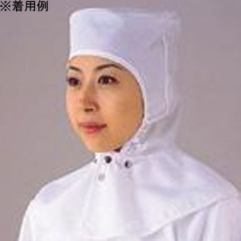 バイオクリーンフード(オートクレーブ対応)(クラス100) アズワン