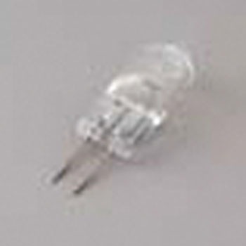 �����p�����v �Y�[�����̌������p �I�v�V���� �A�Y���� 33216145