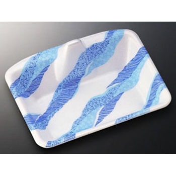 20 �u���b�W�g���[ �������w 33216978