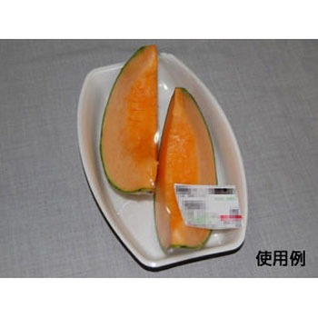 芝舟 中央化学