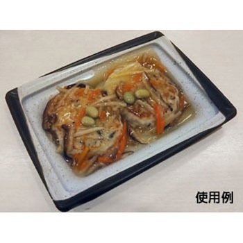 CT沙楽 身 中央化学