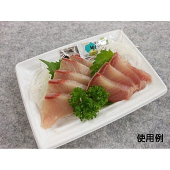 CT沙楽 身 中央化学