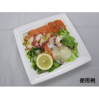 CT沙楽 身 中央化学