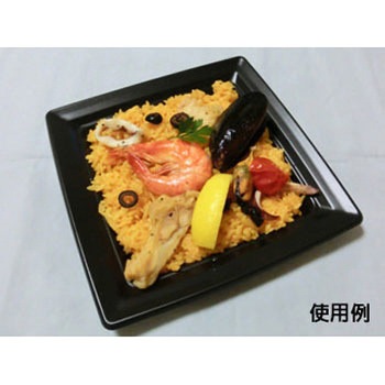 CT沙楽 身 中央化学