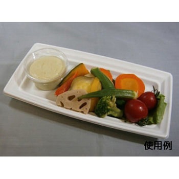 CT沙楽 身 中央化学