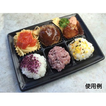 CT沙楽 身 中央化学