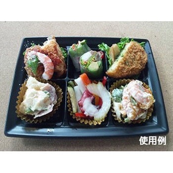 CT沙楽 身 中央化学