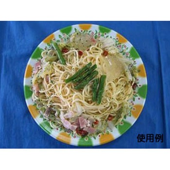CT沙楽 身 中央化学