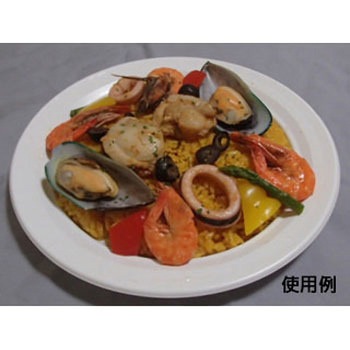 CT沙楽 身 中央化学