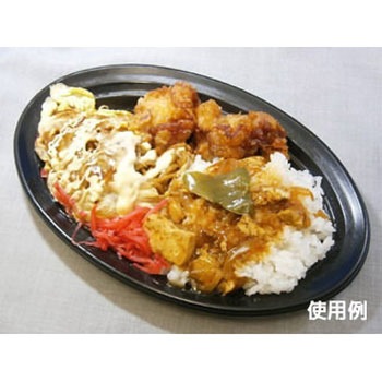 CT沙楽 身 中央化学