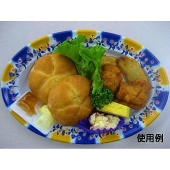 CT沙楽 身 中央化学