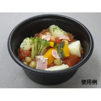 SDキャセロ 身 中央化学