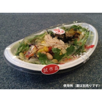 SDセイル 身 中央化学