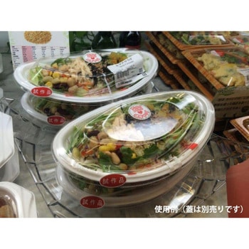 SDセイル 身 中央化学