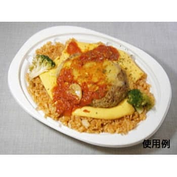 CT街デリ ランチ 身 中央化学