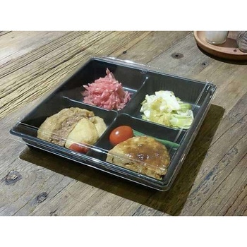 SDキャセロ 身 中央化学