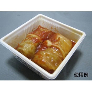 SDキャセロ 身 中央化学