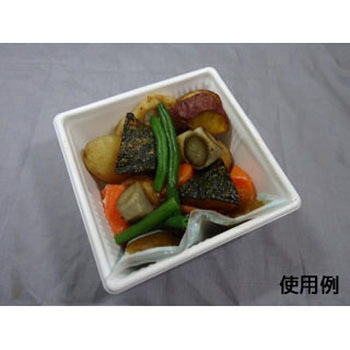 SDキャセロ 身 中央化学