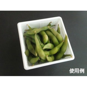 SDキャセロ 身 中央化学