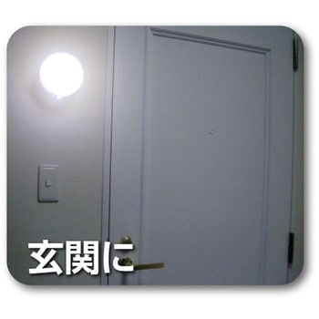 マルピカ リーベックス
