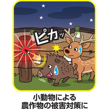 スーパーパトピカ リーベックス