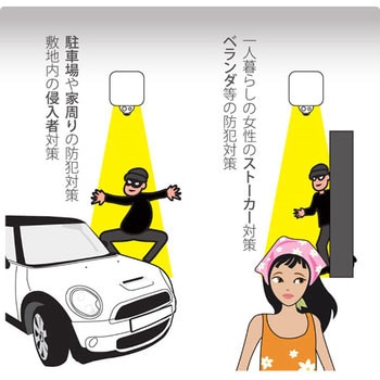 センサーライトカメラ リーベックス