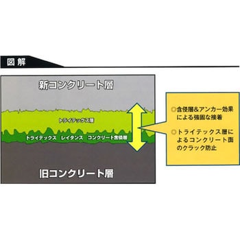 トライテックス 三洋貿易