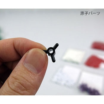 DNA・RNA分子模型 教育用 3B Scienitific